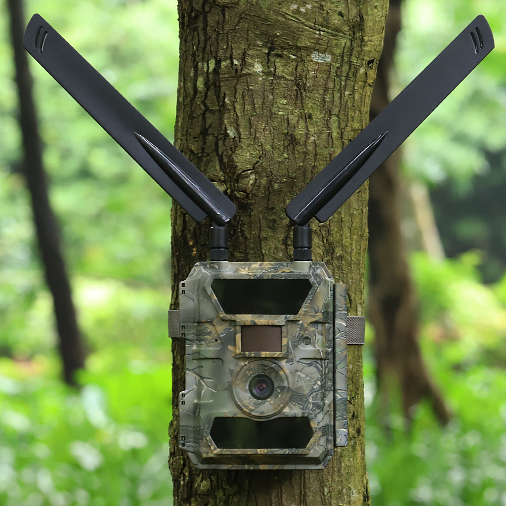 MeineWildkamera Wildkamera 4G LTE Nachtsicht 24MP Full HD, Adler Pro Jagdkamera IP66