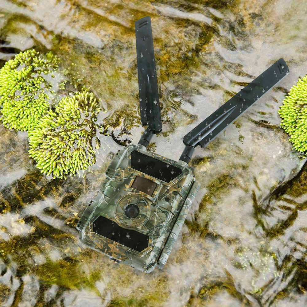 MeineWildkamera Wildkamera 4G LTE Nachtsicht 24MP Full HD, Adler Pro Jagdkamera IP66