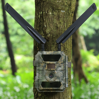 MeineWildkamera Wildkamera 4G LTE Nachtsicht 24MP Full HD, Adler Pro Jagdkamera IP66