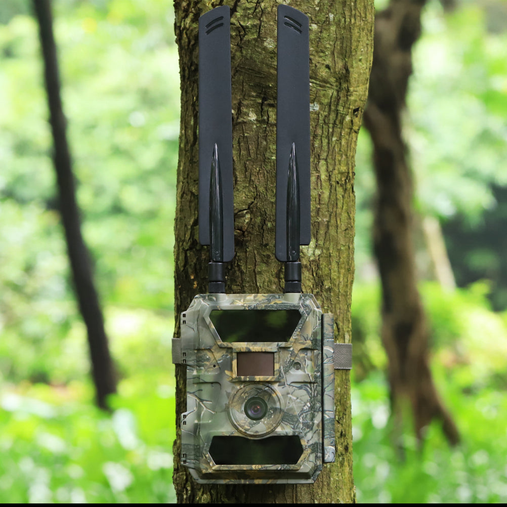 Selected Variant Image