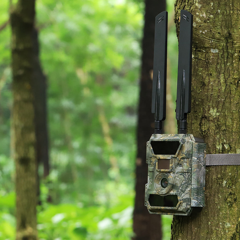 MeineWildkamera Wildkamera 4G LTE Nachtsicht 24MP Full HD, Adler Pro Jagdkamera IP66