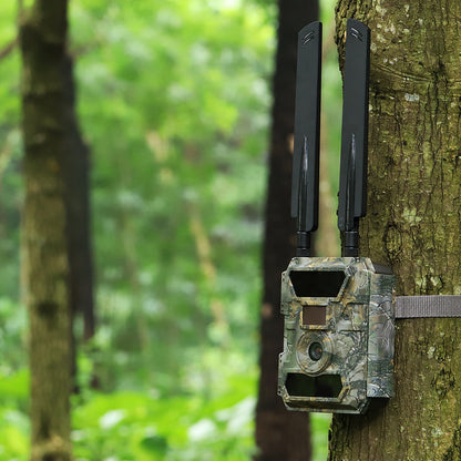MeineWildkamera Wildkamera 4G LTE Nachtsicht 24MP Full HD, Adler Pro Jagdkamera IP66